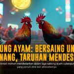Rahasia Kehebatan Ayam Bangkok di Sabung Ayam SV388