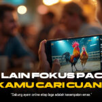 Mengenal Jenis Ayam Aduan dalam Sabung Ayam SV388