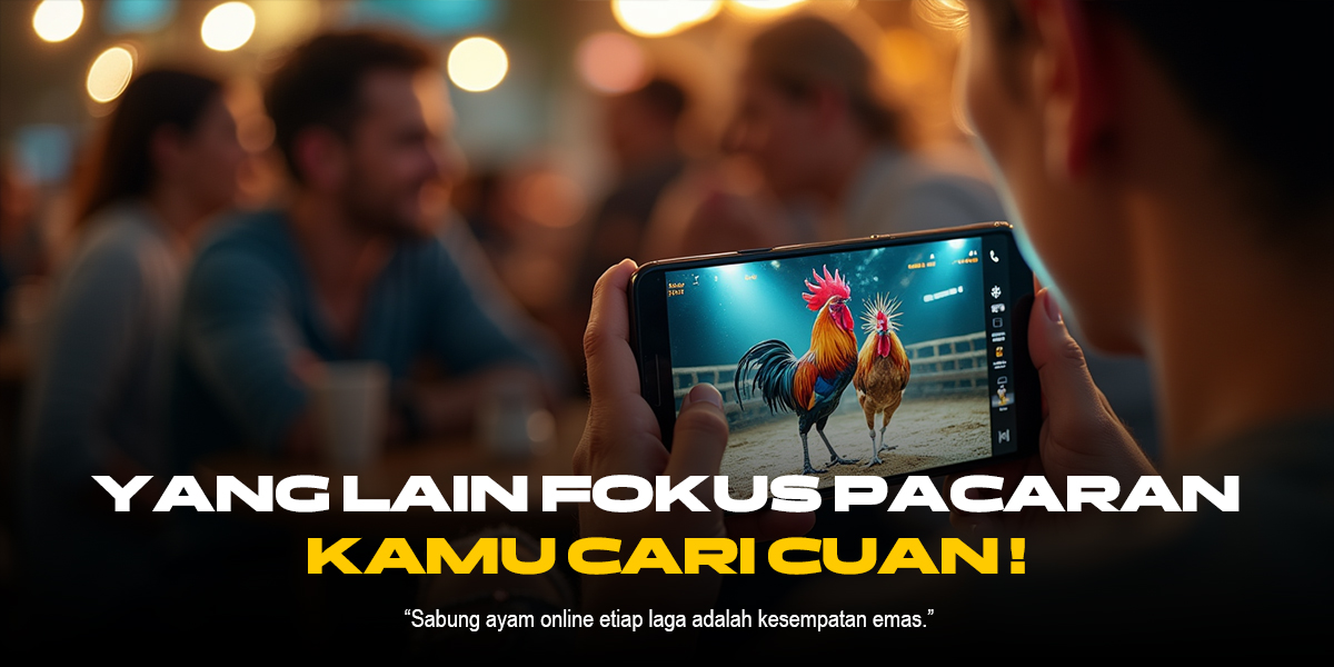 Mengenal Jenis Ayam Aduan dalam Sabung Ayam SV388