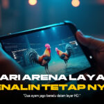 Odds Terbaik dan Jenis Ayam Terpopuler di Sabung Ayam SV388