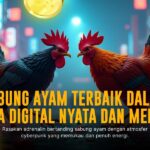 Mengenal Sabung Ayam SV388: Arena Adu Kokok Paling Populer