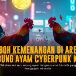 Mengenal Ayam Bangkok: Raja Sabung Ayam yang Memukau