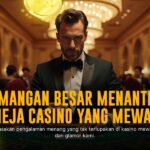 Rasakan Sensasi Seru Bermain Live Casino Evolution Gaming