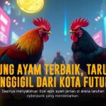 Mengenal SV388: Platform Sabung Ayam Online Terpercaya